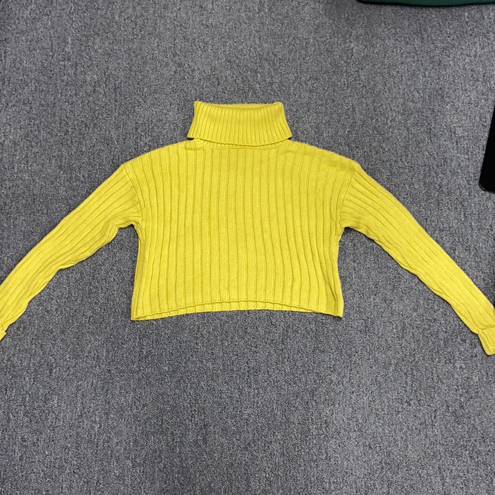 Forever 21 Light Green Turtle Neck Cropped Sweater